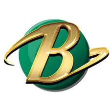 bumi303 APK Bingo